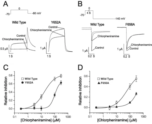 Fig. 4. Concentration-dependent inhi- inhi-bition of WT and mutant hERG  channels expressed in oocytes