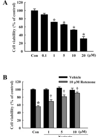 Fig. 1. Effect of naringin on rotenone-induced cell death in  SH-SY5Y cells. (A) MTT cell viability assay at 0.1, 1, 5, 10, and  20 μM rotenone for 24 h in SH-SY5Y cells