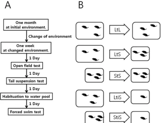 Fig. 1. Experimental design. (A)  Procedure of behavior experiment. 