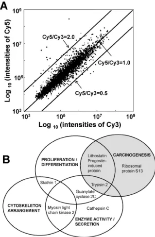 Fig. 1. A representative scatter plot of cDNA microarray analysis  and modified Venn diagram according to gene function