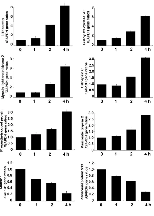 Fig. 2. Time-dependent mRNA ex- ex-pression after cerulein treatment for  8 genes. Relative mRNA expression  in AR42J cells treated with cerulein  (10 −8  M) was assessed by real-time  RT-PCR