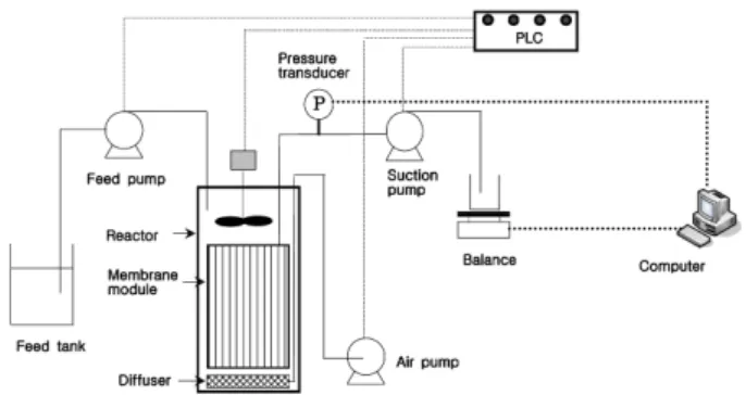 Fig. 1. Schematic diagram of FMSBR system.