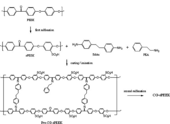 Fig. 1. Schematic diagram of the preparation reactions for  CG-               sPEEK. 산화,  환원에 대한 안정성 그리고 우수한 기계적 강도 가  요구된다