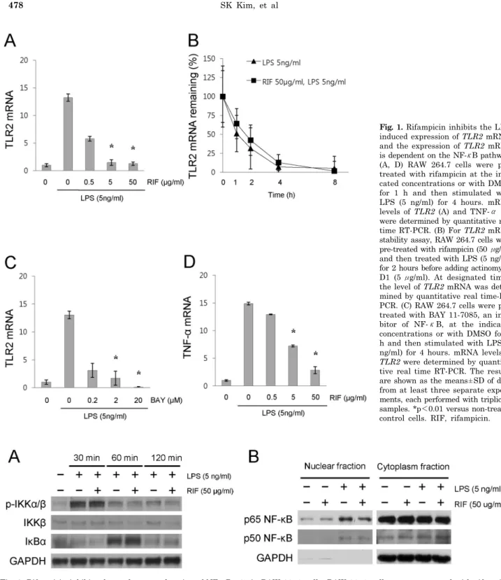 Fig. 1. Rifampicin inhibits the LPS-  induced expression of TLR2 mRNA,  and the expression of TLR2 mRNA  is dependent on the NF-κB pathway.
