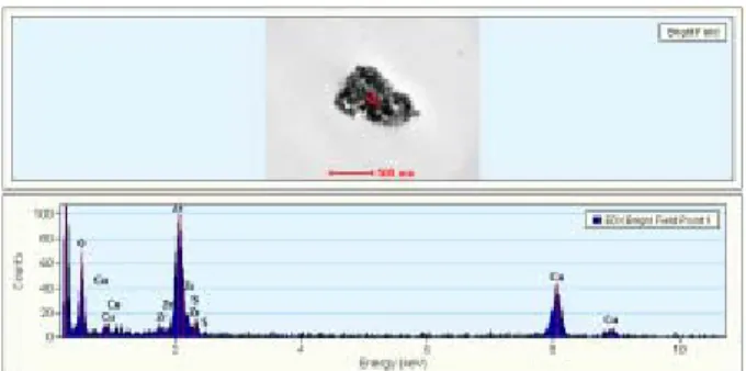 Fig. 2. (a) XRD analysis of  ZrO 2 /s-ZrO 2 . (b) XRD analy- analy-sis of the prepared composite membranes.
