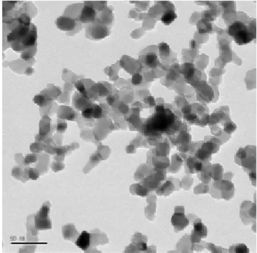 Fig. 1. Schematic diagram of a lab-scale submerged, pho- pho-tocatalytic membrane reactor treating humic acid under 