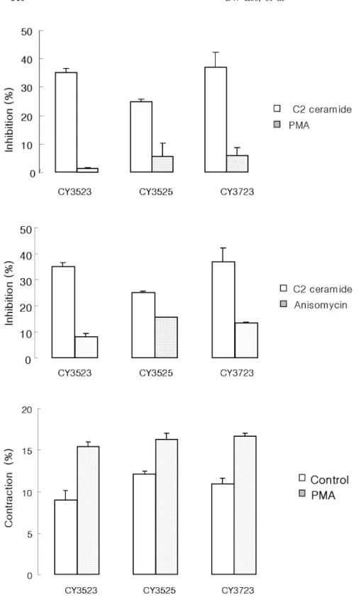 Fig. 4. Effect of CY3523, CY3525, and  CY3723 on anisomycin induced contraction.