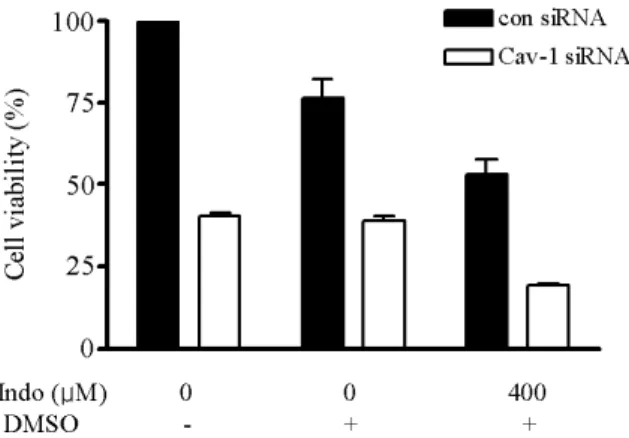 Fig. 1. Indomethacin-induced cell death. Cell viability was deter- deter-mined by cell counting after treatment with different  concen-trations of indomethacin (0, 100, 500, and 1,000μM) for 24 h.