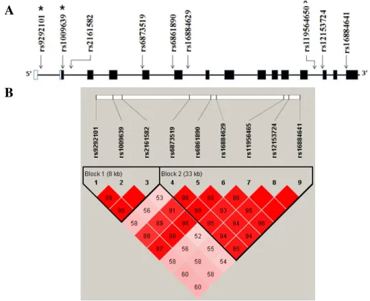 Fig. 1. Gene map and linkage disequilibrium (LD) in interleukin 31 receptor A (IL31RA) gene