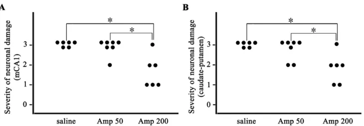 Fig. 2. Representative photomicrographs of cresyl-violet-stained  ischemic neuronal damage in the hippocampus (A, C, E, G) and  the caudate-putamen (B, D, F, H) three days after transient global  forebrain ischemia