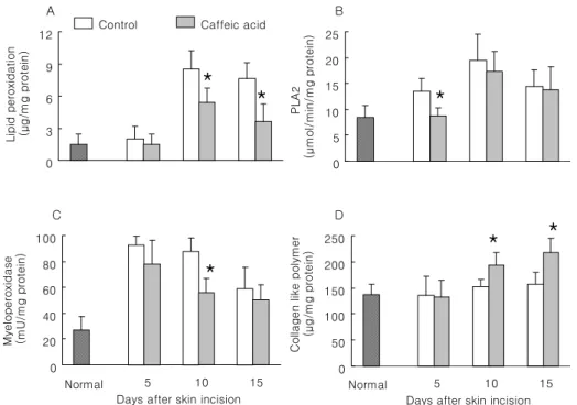 Fig. 1. Effect of caffeic acid on wound healing in skin-incised mice. Two cm  long incision wound perforating the  skin was made on the dorsal skin of  mice