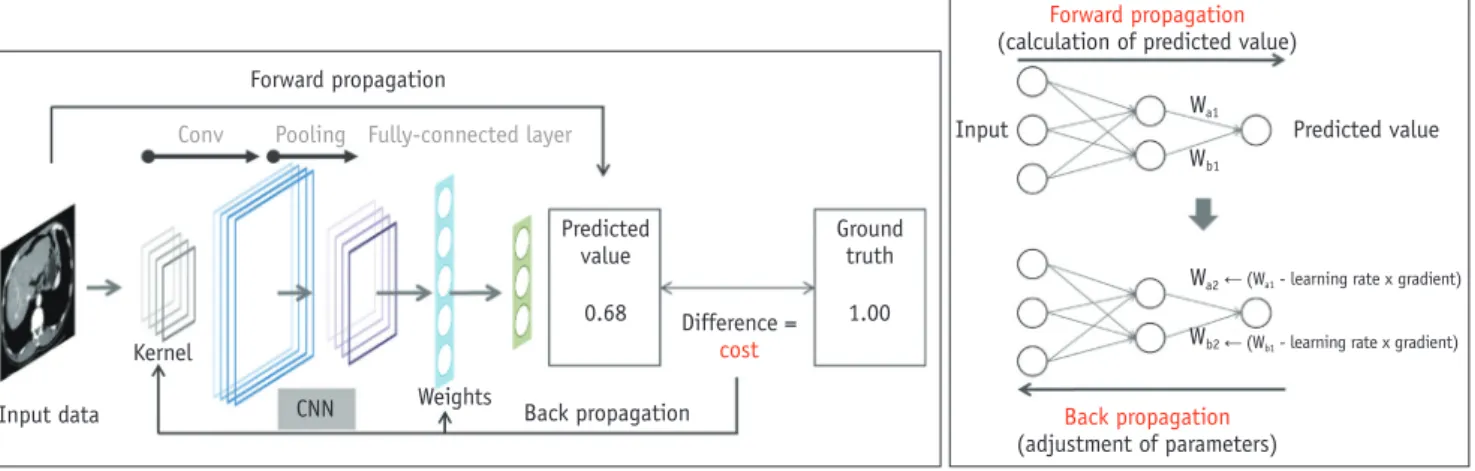 Fig. 5. Model training.