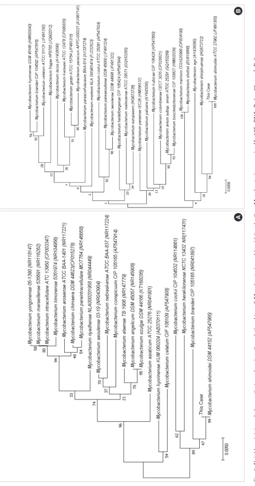 Fig. 2. Neighbor-joining phylogenetic tree showing the relationships of Mycobacterium shimoidei and other Mycobacterium species (A, 16S rDNA; B, hsp65 gene)