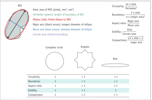 Fig. 1. Schematic description of morphologic features.  Area and perimeter are calculated from ROI drawn on image