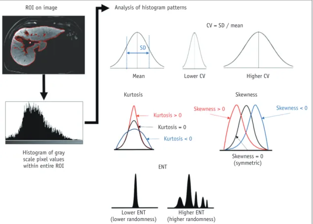 Fig. 2. Schematic description of histogram features.  From ROI drawn on image, histogram of gray-scale pixel values is obtained