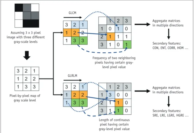 Fig. 3. Schematic description of textural feature extraction assuming 3 x 3-pixel image with three different gray-scale levels