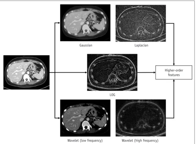 Fig. 4. Example images depicting effects of image filters.  Portal venous phase CT image was transformed by using Gaussian, Laplacian,  and LOG filters and using wavelet transformation of high-frequency and low-frequency parts
