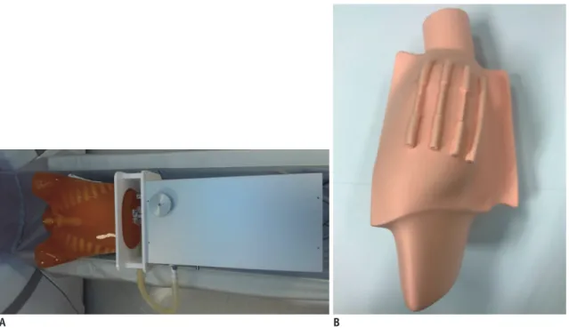 Fig. 1. Anthropomorphic dynamic heart phantom and simulated heart with stenotic model.