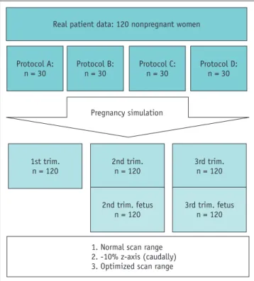 Fig. 1. Phantom simulation flow chart explaining simulation  process.  trim. = trimester