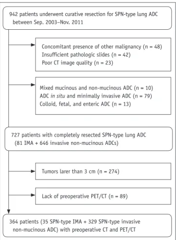 Fig. 1. Flow chart of patient selection.  ADC = adenocarcinoma, CT 