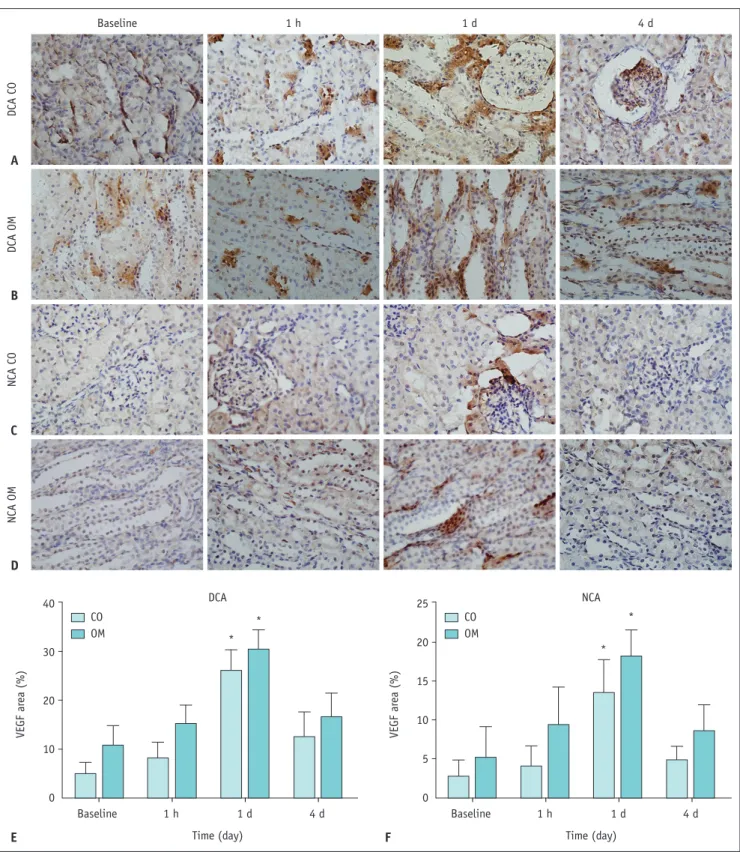 Fig. 8. Representative photomicrographs for VEGF expression in each group.