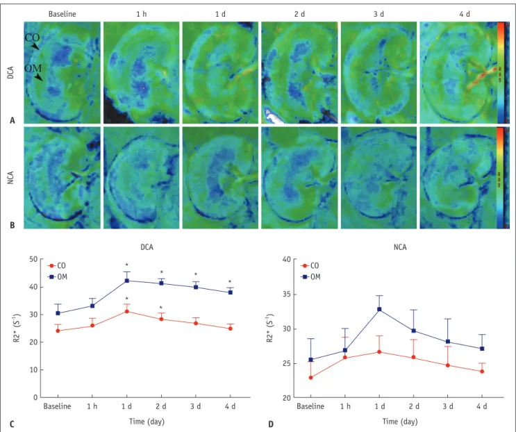 Figure 2 shows the time course of the IVIM parameters  measured in the two groups. A comparison of the temporal 
