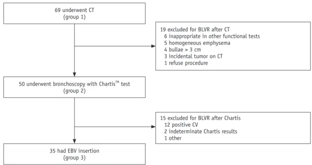 Fig. 2. Flow chart of study patients.  BLVR = bronchoscopic lung volume reduction, CV = collateral ventilation, EBV = endobronchial valve