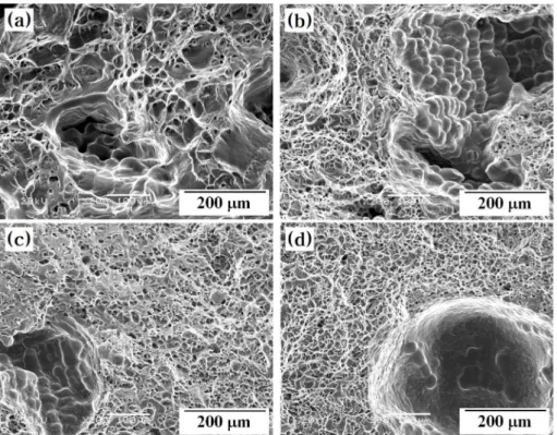 Fig. 7 shows the microscopic views of the fractured surfaces obtained via SEM observation