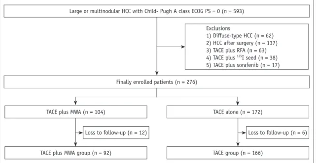 Fig. 1. Study flow chart showing selection of 258 patients who were finally included in study