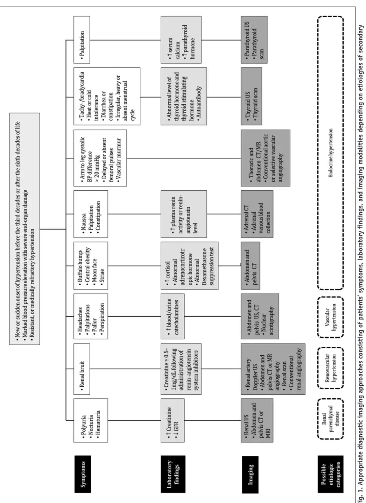 Fig. 1. Appropriate diagnostic imaging approaches consisting of patients’ symptoms, laboratory findings, and imaging modalities depending on etiologies of secondary  hypertension