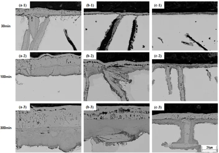 Fig. 13. Cross section SEM image after aging at 700 o C : (a) 0 wt.% Al-cast iron, (b) 2 wt.% Al-cast iron, (c) 4 wt.%-Al cast iron.