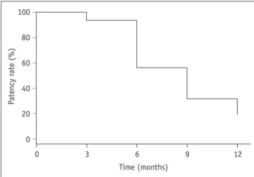 Fig. 2. Kaplan-Meier curve for primary patency at 3, 6, 9, and  12 months after procedure.