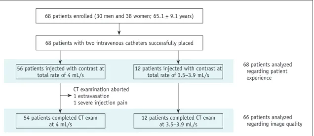 Fig. 3. Patient flow diagram.