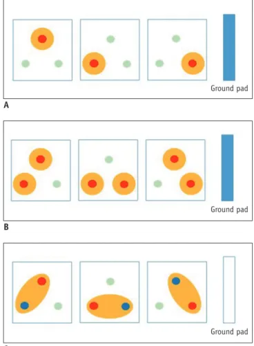 Fig. 1. Diagram showing use of three electrodes with various  RF energy delivery methods.
