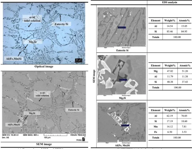 Fig. 2.  Observation of basic constituent phase of AC4A alloy.