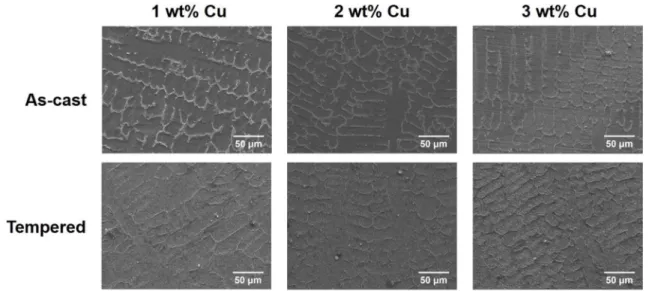 Fig. 2. The magnified FE-SEM images and EDS analysis of dendrites in Cu-added SKD11.