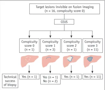 Fig. 2. Lesion conspicuity and technical success of biopsy.  CEUS 