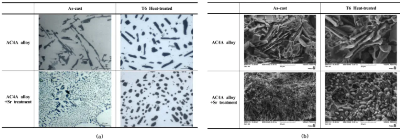 Fig. 4.  Comparison of eutectic Si morphology showing Sr treatment effect. (a) optical microscope image (b) SEM image.