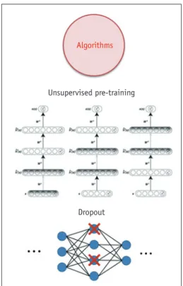 Fig. 4. Two breakthrough algorithms in deep learning,  including unsupervised pre-training and dropout.
