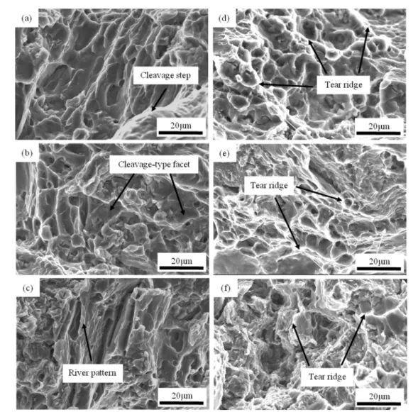 Fig. 6.  SEM micrographs of the longitudinal cross section near the fracture surface of the tensile specimens of as-cast AT42-xPd alloys at room temperature; (a) AT42, (b) AT42-1Pd, (c) AT42-2Pd.