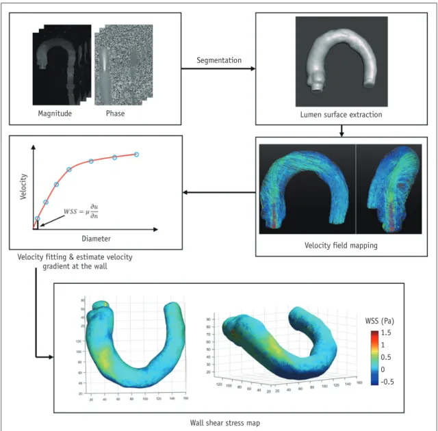 Fig. 4. Wall shear stress (WSS) estimation using 4D PC-MRI.  First step for WSS estimation is to obtain smooth spline contour or surface  of lumen from magnitude, phase, or mask images, so that wall location and normal displacement vector can be estimated 