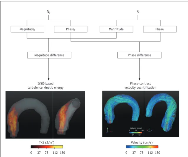 Fig. 5. Principle of TKE estimation.  TKE estimation is based on relationship between intravoxel velocity distribution and MR signal from  standard PC-MRI scan