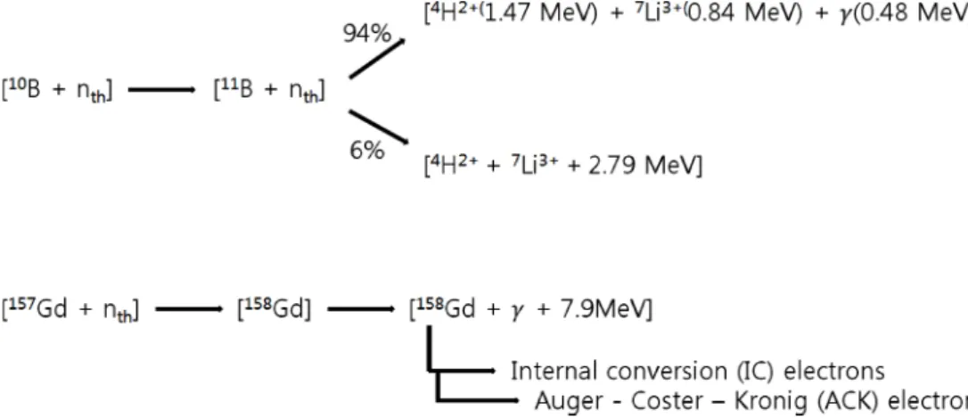Fig. 1.  Schematic diagram of Boron and Gadolinium neutron capture reaction[3].