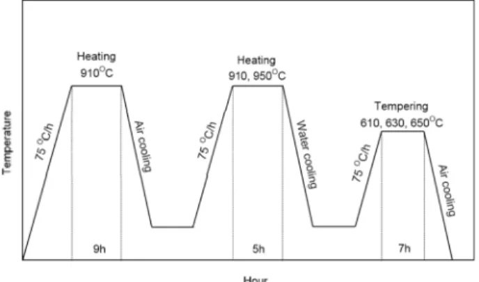 Fig. 1.  The schematic illustration of heat treatment condition for A487 cast in this study.