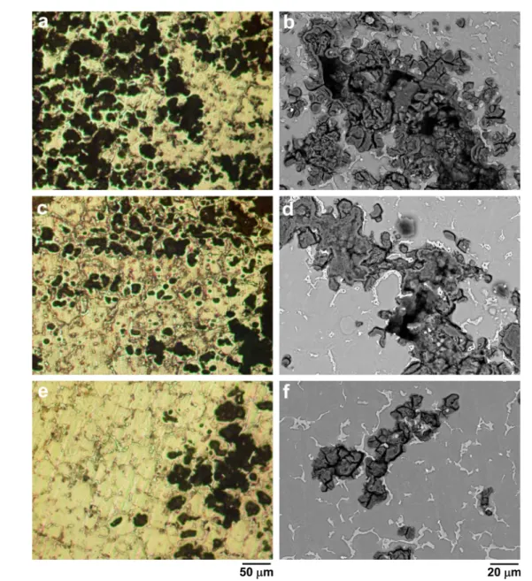 Fig. 10.  OM and SEM images showing corroded surfaces of Mg-8%Al-X%Zn alloys obtained after 48 hrs of immersion in 1M NaCl solution : (a,b) 0%Zn, (c,d) 0.5%Zn and (e,f) 1.0%Zn.