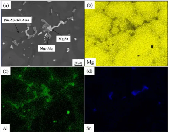 Fig. 2.  Optical micrographs of as-cast (a) AZ91 (b) TAZ551 and (c) TZ91 alloy.