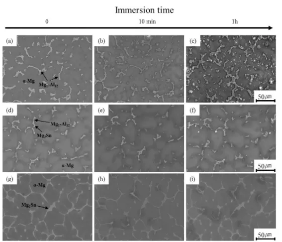 Fig. 9.  SEM micrographs of corroded surface in 3.5% NaCl solution: (a) before AZ91 alloy and (b) after 1h.