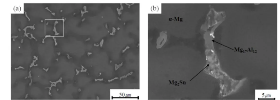 Fig. 11.  SEM micrographs of corroded surface of TZ91 alloy after 1h in 3.5% NaCl solution: (a) 500 × and (b) 3000 ×