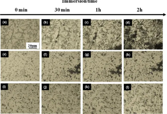 Fig. 8.  Optical mircographs of corroded surfaces as a function of immersion time until 2h; (a)~(d) ATX421, (e)~(h) ATX421-0.5Ce and (i)~(l) ATX421-1Ce alloy.