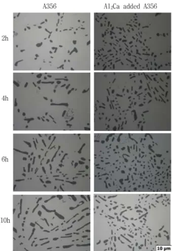 Fig. 4.  Change of eutectic Si morphology with aging time at 170 o C in A356 and Al 2 Ca added A356 alloys.